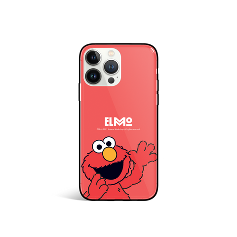 Sesame Street Glossy iPhone Case / Android Case (SS81G)