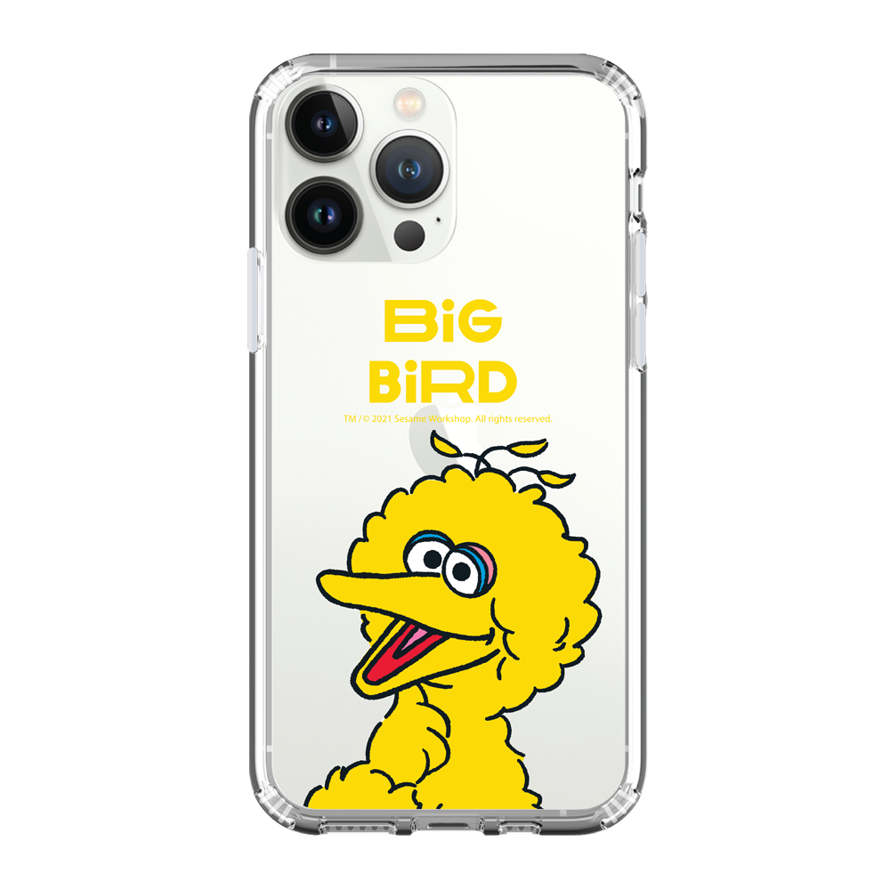 Sesame Street iPhone Case / Android Phone Case (SS83)