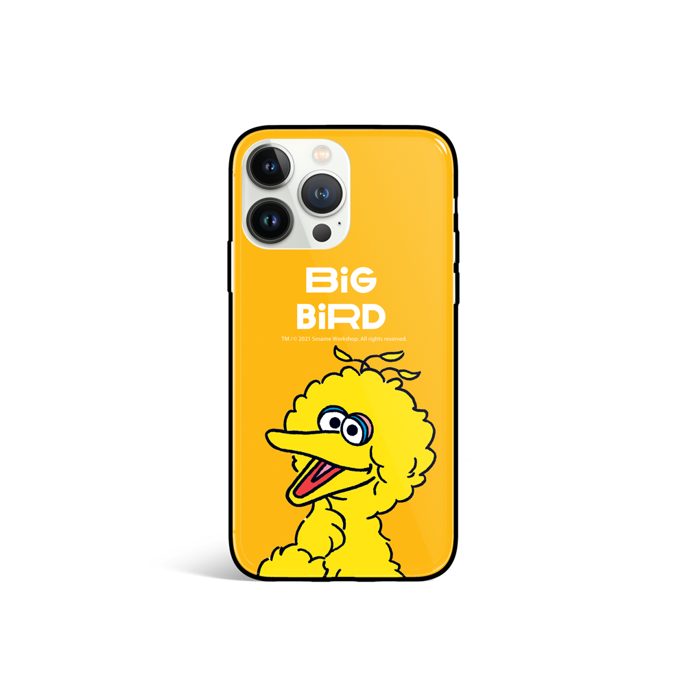 Sesame Street Glossy iPhone Case / Android Case (SS83G)